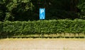 Blue handicapped parking sign Royalty Free Stock Photo