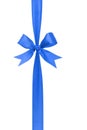 Blue handmade ribbon with bow