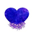 Blue Heart With Crocuses Flowers Hand Drawn Illustration. Wedding Concept Royalty Free Stock Photo