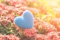 Blue Heart on Green spike flower tree for love and Valentine`s Day Royalty Free Stock Photo