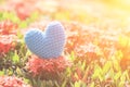 Blue Heart on Green spike flower tree for love and Valentine`s Day