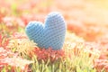 Blue Heart on Green spike flower tree for love and Valentine`s Day Royalty Free Stock Photo