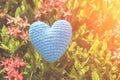 Blue Heart on Green spike flower tree for love and Valentine`s Day Royalty Free Stock Photo