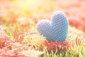 Blue Heart on Green spike flower tree for love and Valentine`s Day Royalty Free Stock Photo