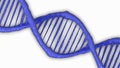 Blue helix human DNA structure. Chromosome structure, or single part of a gene Royalty Free Stock Photo