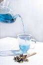 Blue herbal tea in a glass teapot on white background. Butterfly pea flower tea is brewed in teapot and served into a transparent Royalty Free Stock Photo