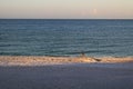 Blue Heron on a beach in Florida