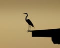 Blue heron perched on dock Royalty Free Stock Photo