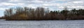 Blue Heron Rookery taken from Rookery View Park in Wausau, Wisconsin in the spring Royalty Free Stock Photo