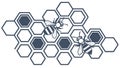Blue Hexagonal Honeycomb Pattern with Bee, vector design Generative AI Royalty Free Stock Photo