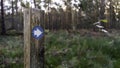 Blue hiking trail marker pointing the direction in the woods