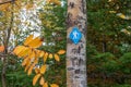 Blue hiking trail marker on tree in Autumn
