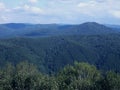 Blue hills. Summer landscape top view