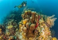 Blue Hole Belize Scuba Diving