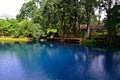 Blue hole in Espiritu Santo Island, Vanuatu Royalty Free Stock Photo