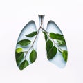 Blue Hole Lungs and green twigs as symbol of healthy lungs. World Tuberculosis Day or World Lung Day concept. Minimal Paper Art