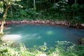 A blue hole near Lost River Cave, Bowling Green, Kentucky, U.S.A Royalty Free Stock Photo