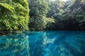 Blue Hole in Paradise, Vanuatu Royalty Free Stock Photo