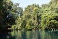 Blue Hole in Paradise, Vanuatu Royalty Free Stock Photo