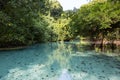 Blue Hole in Paradise, Vanuatu Royalty Free Stock Photo