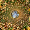 blue hole sphere or globe little planet inside green dry grass with yellow leaf frame background Royalty Free Stock Photo