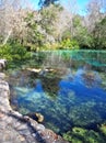 Blue Hole Springs at Ichetucknee Springs State Park