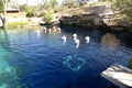 Santa Rosa, NM, USA. June 10, 2014. The BLUE HOLE swimming hole.