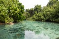 Blue Hole, Vanuatu Royalty Free Stock Photo