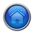 Blue Home Button