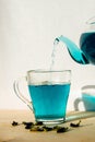 Blue hot tea is poured into a glass cup. A teapot with blue Thai tea, which is poured into a mug against a white wall. Royalty Free Stock Photo