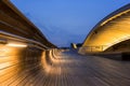 Blue Hour in Henderson Waves