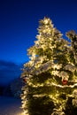 Snow covered pine tree with lighting and red glass ball christmas ornament, outdoor. Royalty Free Stock Photo