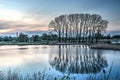 Blue hour in Ooijpolder nature reserve Royalty Free Stock Photo