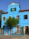 Blue House