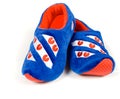 Blue house slippers Royalty Free Stock Photo