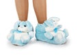 Blue house slippers Royalty Free Stock Photo