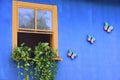 Blue house with yellow rustic wooden window with flower box Royalty Free Stock Photo