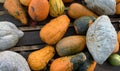 Some Blue Hubbard Squash fresh from a farmers market on a cool autumn day in Canada Royalty Free Stock Photo