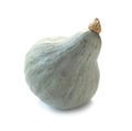 Blue Hubbard Squash Royalty Free Stock Photo