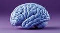 Blue human brain model on a purple background. Royalty Free Stock Photo
