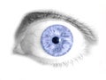 Modrý člověk oko 