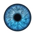 blue human iris