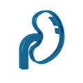 Blue Human kidney icon isolated on transparent background.