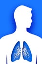 Blue Human Lungs. World health day. Medicine idea with paper cut flowers and leaves. Lungs shape with origami floral