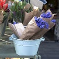 Blue hyacinths Royalty Free Stock Photo