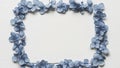 Blue Hydrangea Flowers Forming Square Frame Royalty Free Stock Photo