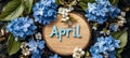 Blue Hydrangea Flowers and Round Wood Sign Featuring April Text on Black Rustic Surface Royalty Free Stock Photo