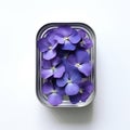 Blue hydrangea petals in a tin can on white background. Purple hydrangea petals in a metal box on white background. Can Royalty Free Stock Photo