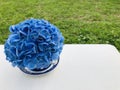 Blue hydrangeas in a cup, on grey white table with green grass.