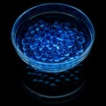 Blue hydrogel balls in a glass vase isolated on a black background Royalty Free Stock Photo
